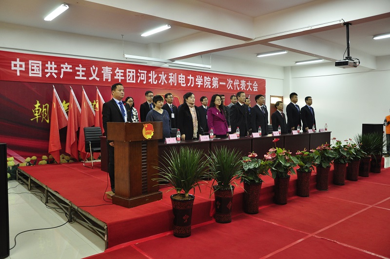 _DSC1395.JPG _DSC1395.JPG